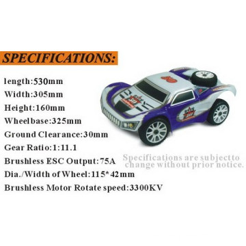 HSP échelle 1/8ème voiture RC 4WD Rally Brushless Monster 94063